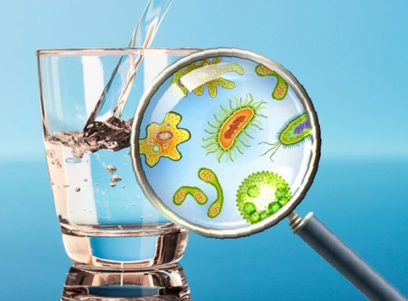 Tác động trực tiếp đến sức khỏe con người