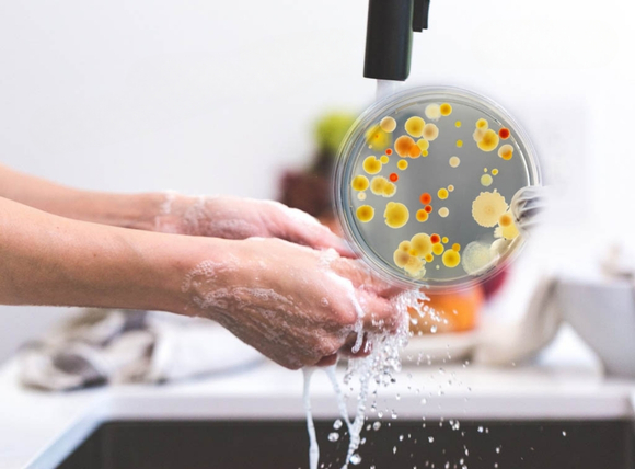 Dấu hiệu cảm quan của nước nhiễm E.coli