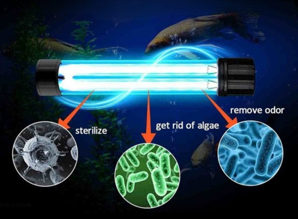 Khả năng diệt khuẩn của đèn UV đạt chuẩn