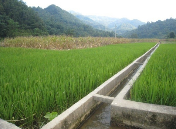 Xây dựng hệ thống kênh mương thau chua rửa mặn