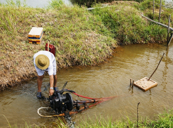 Tác hại trong sản xuất nông nghiệp và thủy sản