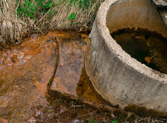 Cơ chế phá hủy gan do sắt dư thừa