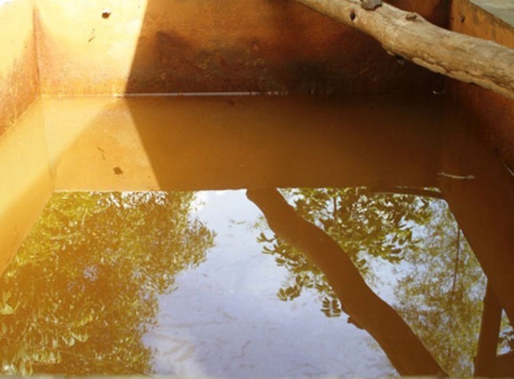 Cơ chế phá hủy gan do sắt dư thừa