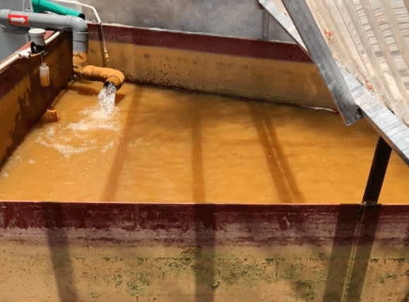 Sắt tích tụ tại ống thận gây tổn thương