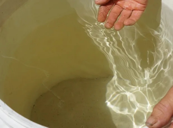 Dấu hiệu cảnh báo nước giếng bị ô nhiễm