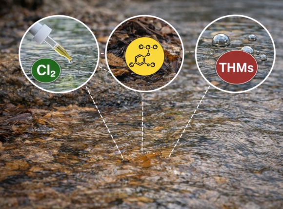 Clo dư kết hợp hợp chất hữu cơ tạo ra THMs