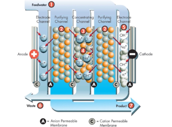 Nguyên lý hoạt động của công nghệ EDI tạo nước siêu tinh khiết không hóa chất