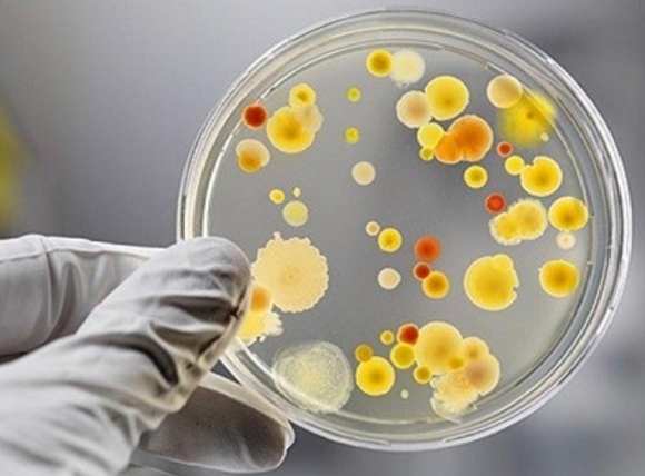 Tầm quan trọng của chỉ tiêu vi sinh trong nước sản xuất thực phẩm theo QCVN