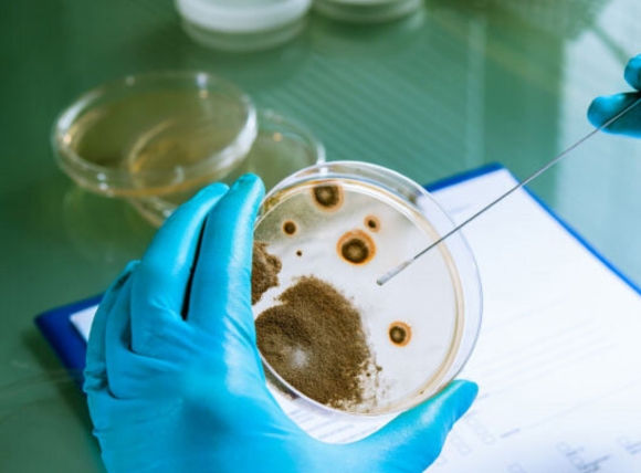 Tổng quan về yêu cầu vi sinh trong nước sản xuất thực phẩm theo QCVN