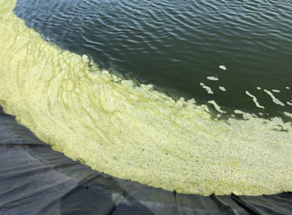 Hóa chất Keo tụ - Tạo bông cho nước thải ngành giấy