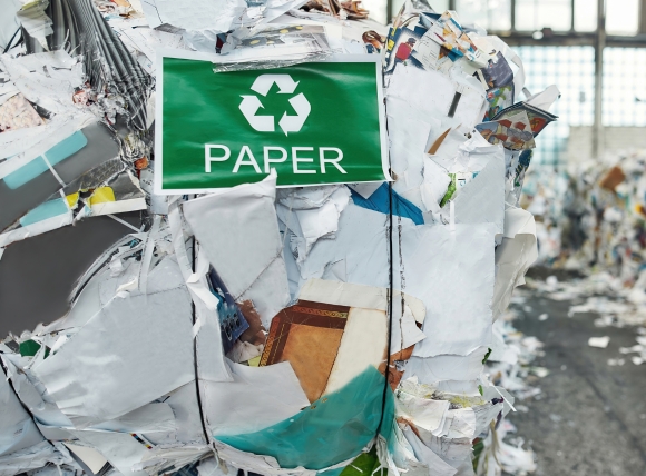 Ngành công nghiệp giấy, chế biến bột giấy