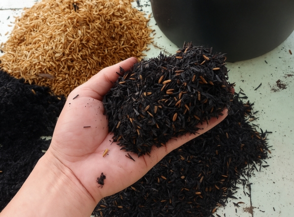 Làm than hoạt tính từ vỏ trấu tại nhà