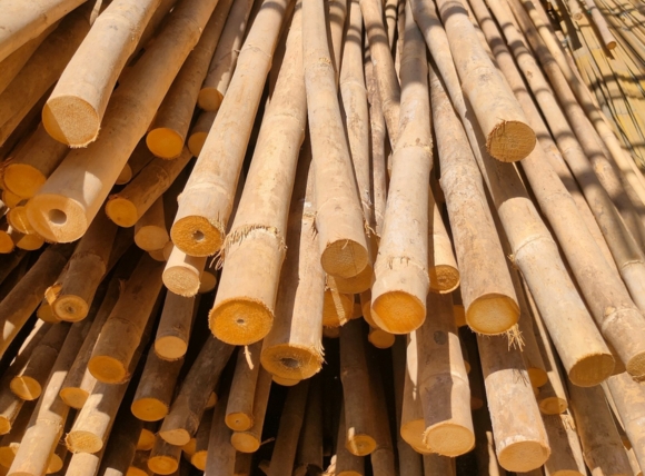 Chuẩn bị tre và sơ chế tre để làm than hoạt tính