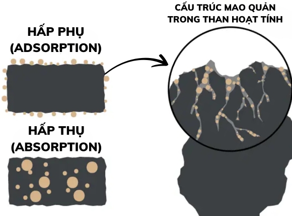 Khả năng loại bỏ hợp chất không mong muốn của mao quản than hoạt tính