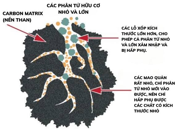 Cấu trúc tổng thể của than hoạt tính
