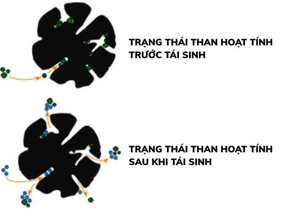 Mô phỏng hình ảnh trước khi hoàn nguyên và sau khi hoàn nguyên than hoạt tính