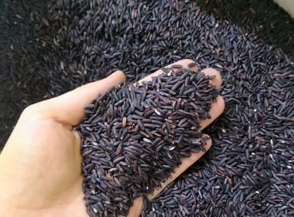 Thành phẩm thực tế sau quá trình làm than hoạt tính từ gạo