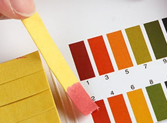 Sử dụng giấy quỳ tím để đo độ pH của nước giếng khoan