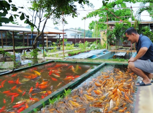 Yếu tố ảnh hưởng đến chất lượng nước nuôi cá