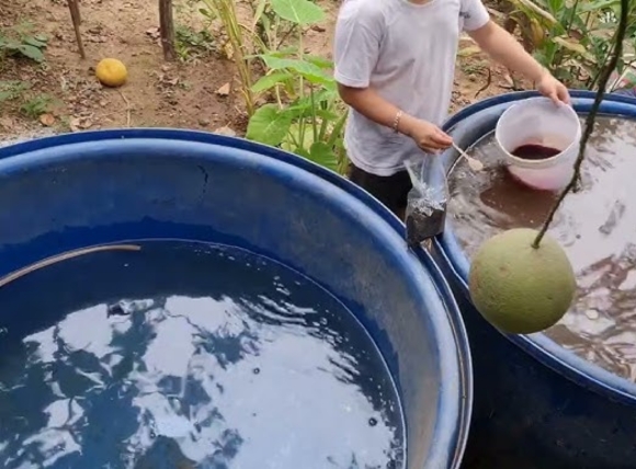 Điều chỉnh hóa lý nước giếng nuôi cá