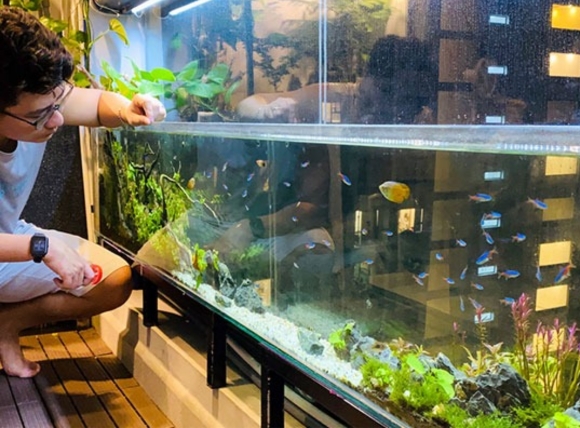 Kiểm tra môi trường sống khi nuôi cá bằng nước giếng khoan