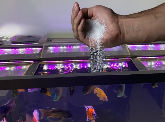 Khử trùng và loại bỏ khí độc khi xử lý nước giếng khoan nuôi cá