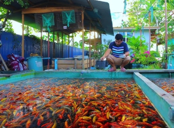 LỰA CHỌN PHƯƠNG PHÁP LỌC nguồn nước giếng khoan