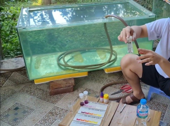 Vệ sinh bể nuôi cá thường xuyên nếu sử dụng nước giếng khoan