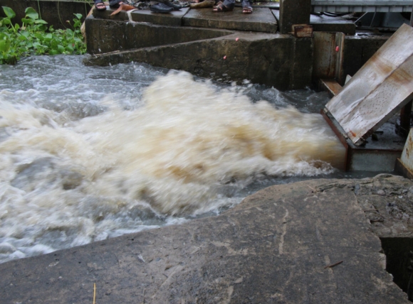 Nước giếng nuôi cá bị ảnh hưởng bởi môi trường bên ngoài