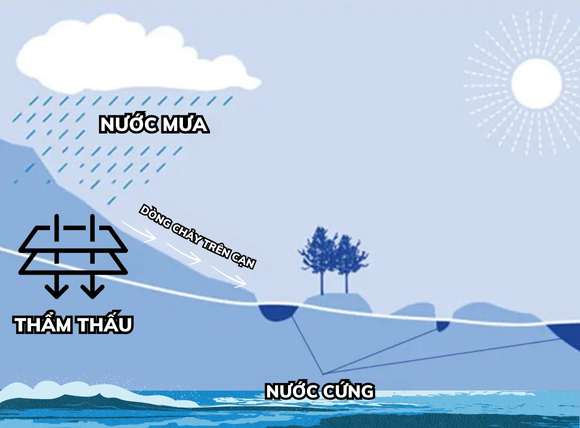Nước cứng hình thành từ tự nhiên