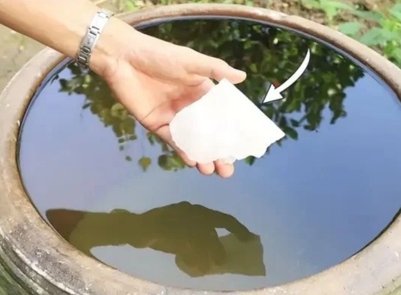 Dùng phèn chua để xử lý nước giếng bị đục