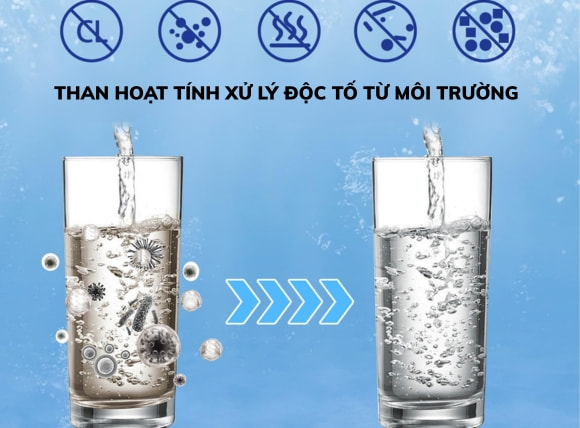 Than hoạt tính có khả năng lọc các độc tố từ môi trường