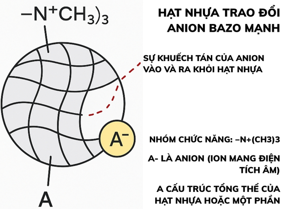 Hạt nhựa trao đổi anion bazo mạnh (SBA)