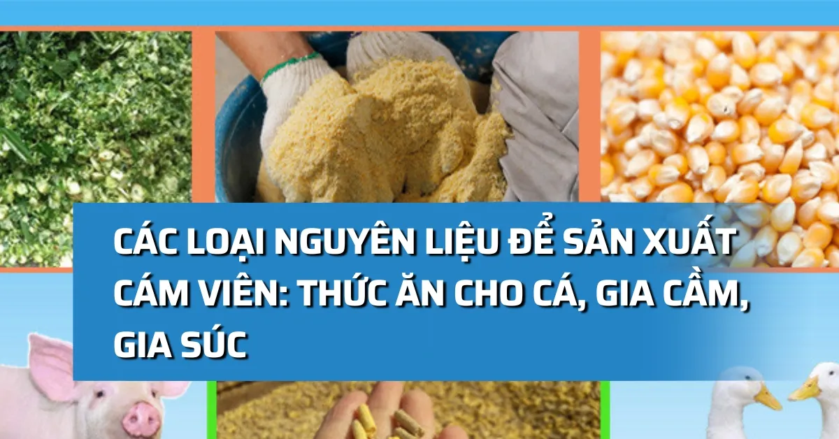 Các loại nguyên liệu để sản xuất cám viên: Thức ăn cho cá, gia cầm, gia súc