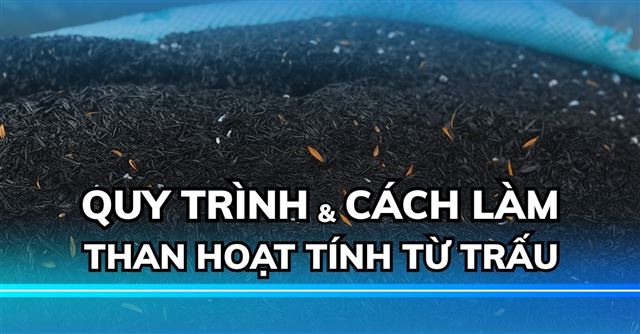 Quy trình và cách làm than hoạt tính từ trấu
