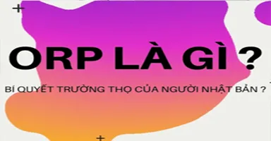 [Mách Bạn] chỉ số ORP là gì? Vai trò đối với sức khỏe. Cách bổ sung chất chống oxy hóa cho cơ thể.