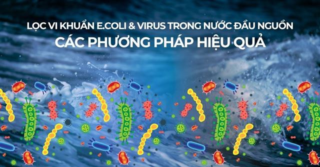 Lọc vi khuẩn E.coli và virus trong nước đầu nguồn: Các phương pháp hiệu quả