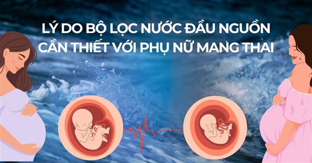 Lý do bộ lọc nước đầu nguồn cần thiết với phụ nữ mang thai