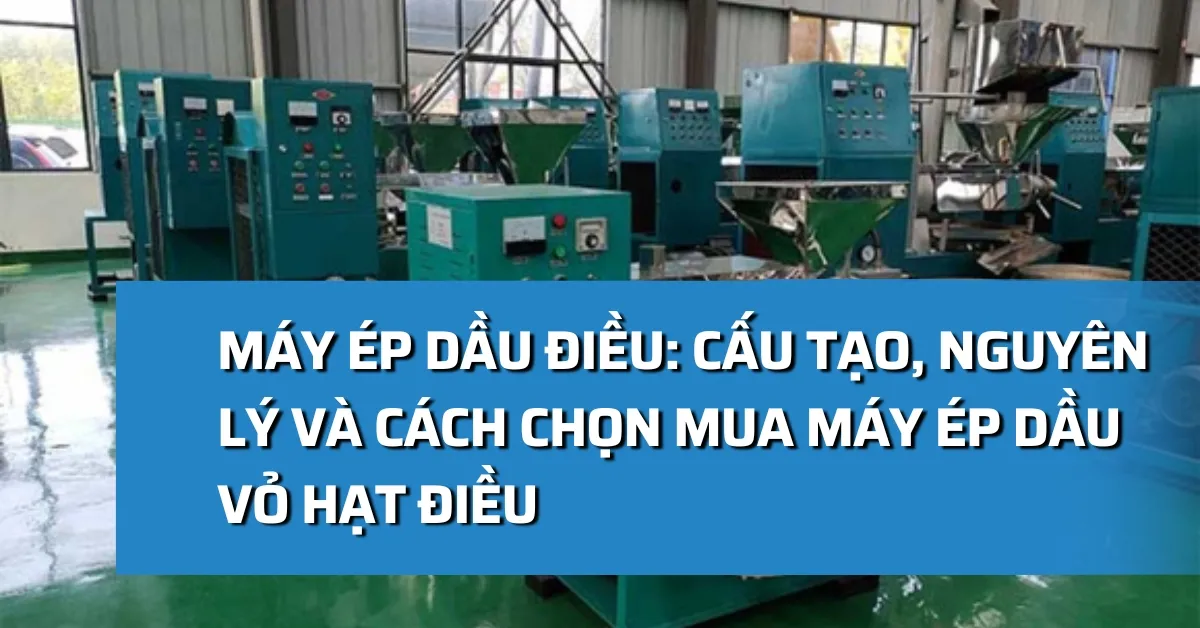 Máy ép dầu điều: Cấu tạo, nguyên lý và cách chọn mua máy ép dầu vỏ hạt điều