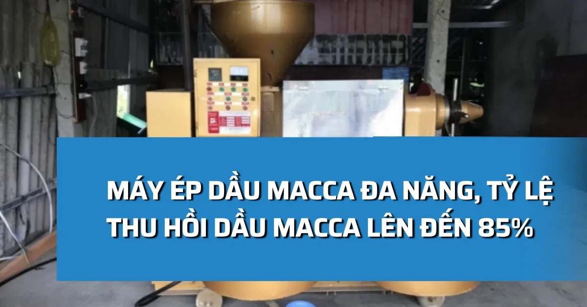 Máy ép dầu macca đa năng, tỷ lệ thu hồi dầu macca lên đến 85%