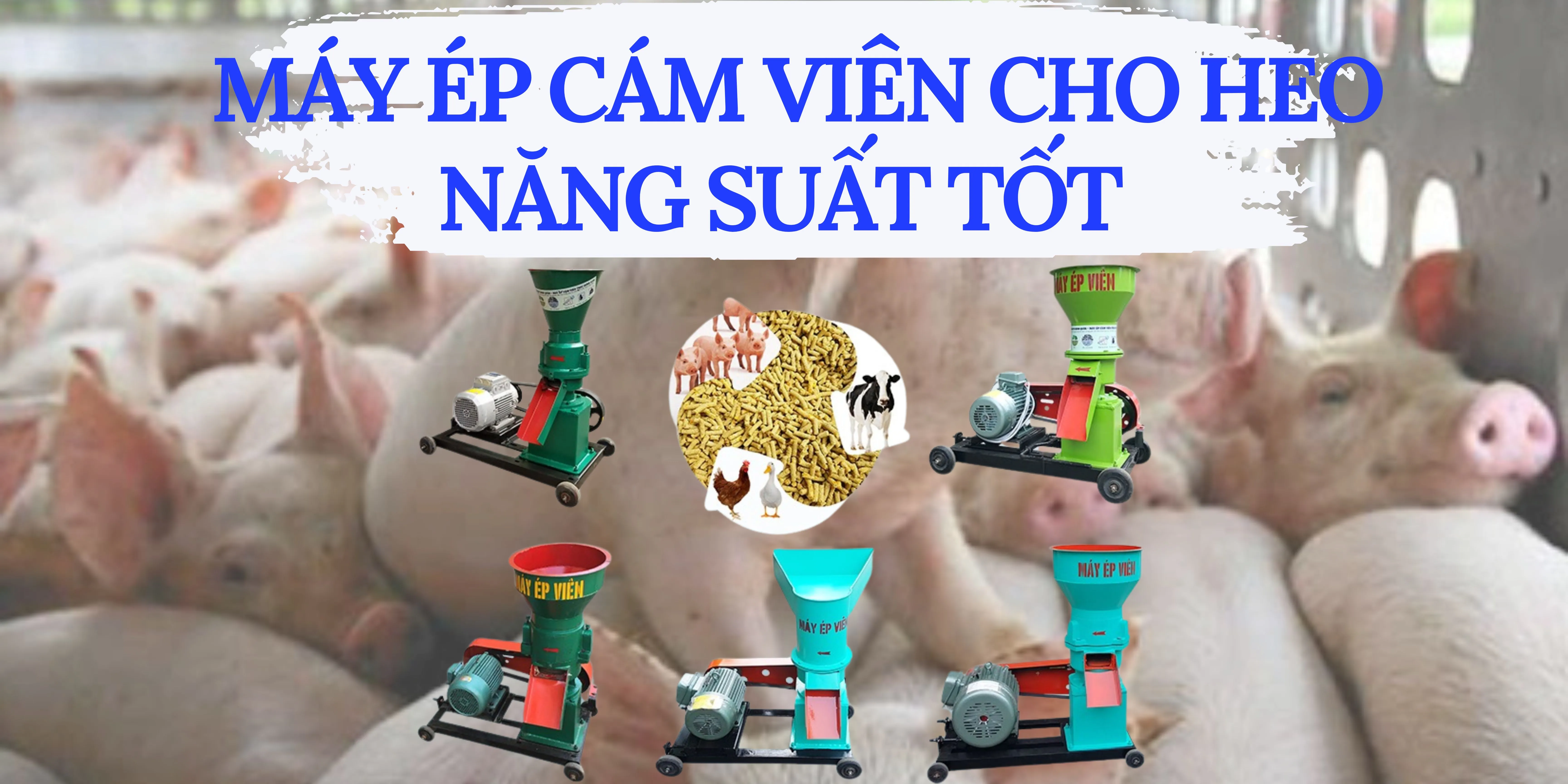 TOP 5 Máy làm cám viên cho heo năng suất vượt trội