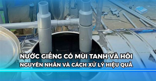  Nước giếng có mùi tanh, hôi: Nguyên nhân và cách xử lý hiệu quả