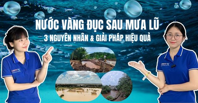 Nước giếng vàng đục sau mưa lũ: 3 Nguyên nhân & Giải pháp