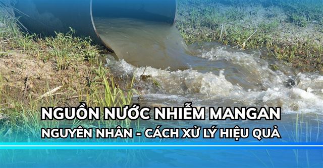 Nước nhiễm mangan: Nguyên nhân, dấu hiệu và cách xử lý hiệu quả