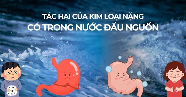 Tác hại của kim loại nặng có trong nước đầu nguồn