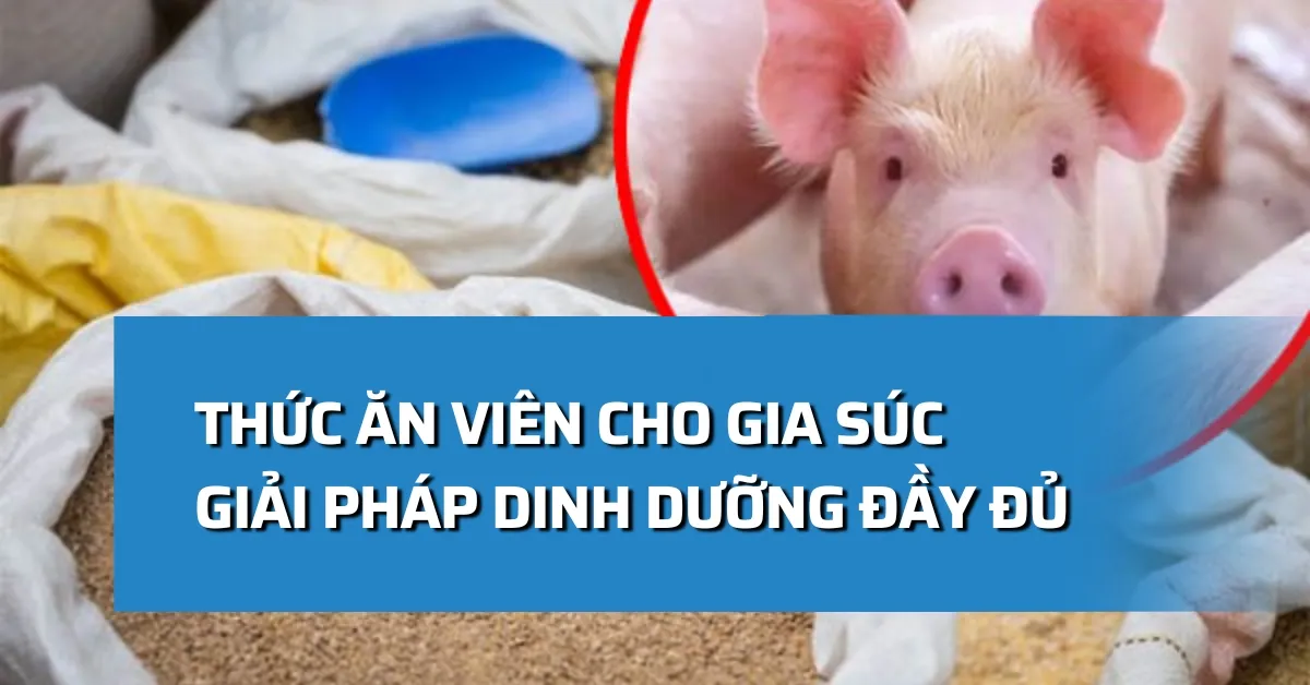 Thức ăn viên cho gia súc: Giải pháp dinh dưỡng đầy đủ