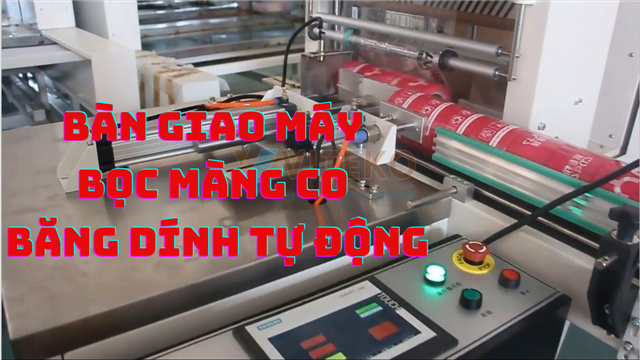 Bàn giao máy bọc màng co băng dính tự động khách hàng tại Vũng Tàu